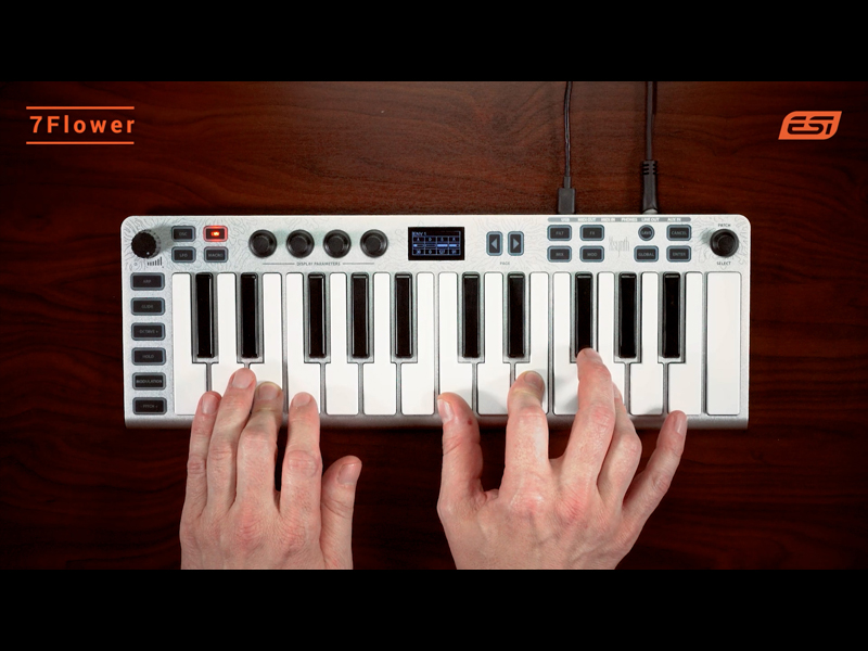 Amazon.com: ESI Xsynth Ultra-Thin 25-Key Synthesizer with